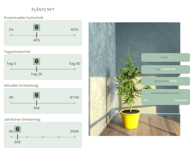 Wachstumsphase Cannabis NFT