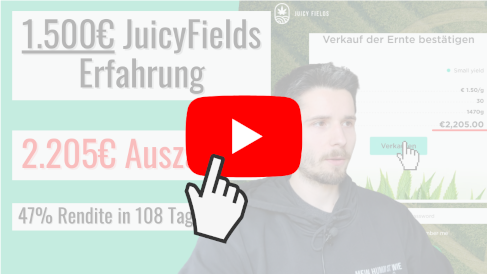 Juicy Fields Youtube Erfahrung