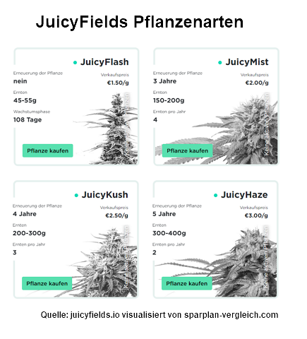 Cannabisanbau Pflanzen Crowdgrowing JuicyFields