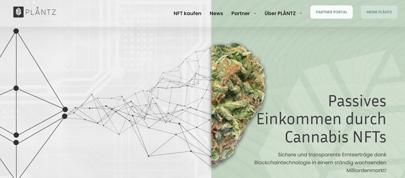 Plaentz Plantz com Webseite Screenshot